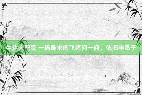 牛达人配资 一码难求的飞猪问一问，依旧半吊子