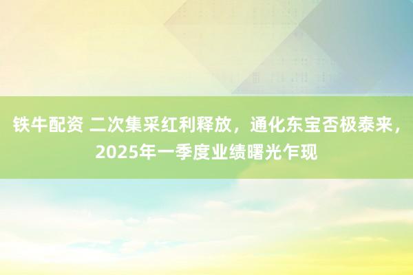 铁牛配资 二次集采红利释放，通化东宝否极泰来，2025年一季度业绩曙光乍现