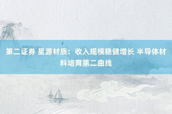 第二证券 星源材质：收入规模稳健增长 半导体材料培育第二曲线