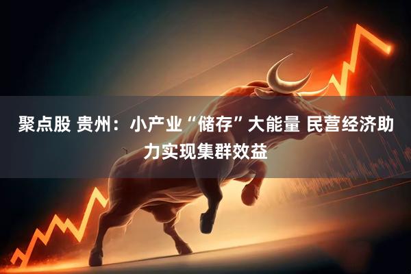 聚点股 贵州：小产业“储存”大能量 民营经济助力实现集群效益