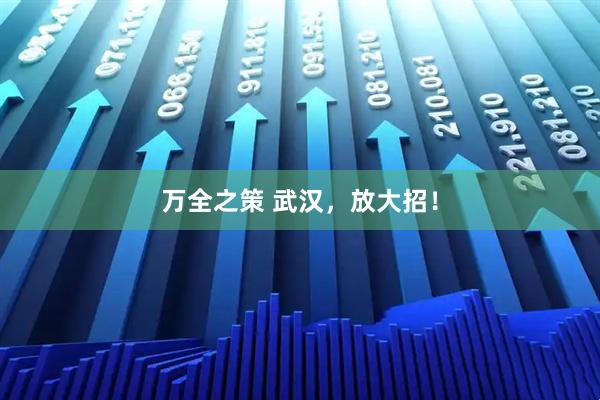 万全之策 武汉，放大招！