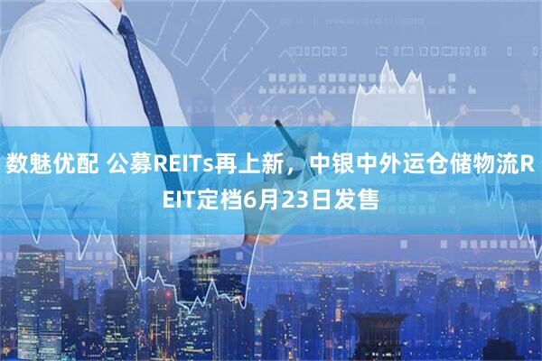 数魅优配 公募REITs再上新,中银中外运仓储物流REIT定档6月23日发售
